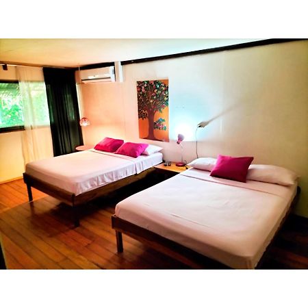 Cabinas Coconut Grove Puerto Viejo de Talamanca Exteriér fotografie