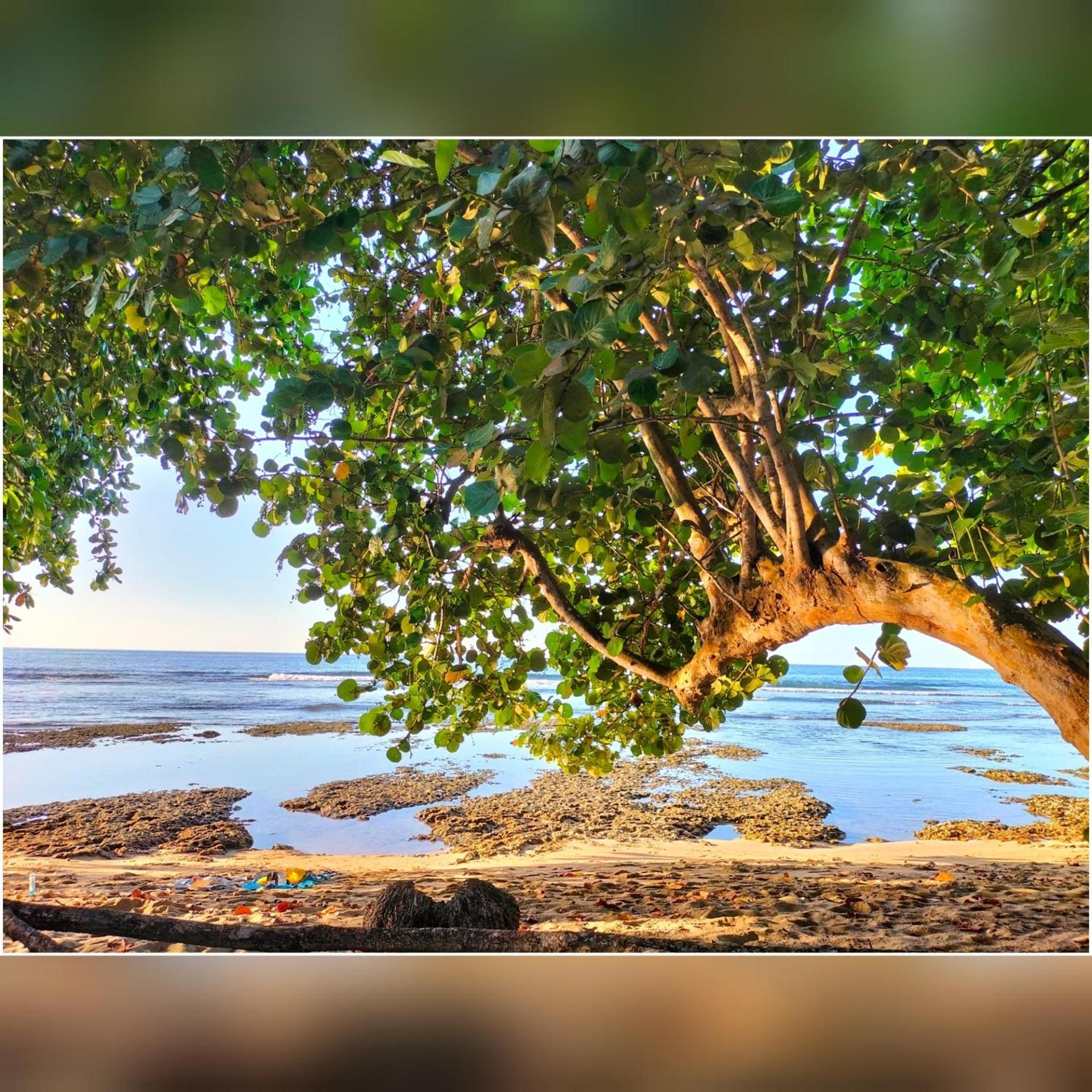 Cabinas Coconut Grove Puerto Viejo de Talamanca Exteriér fotografie